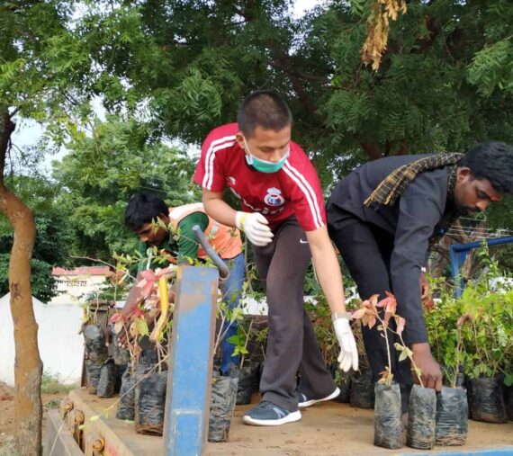 SSSIHL-Chitravati-Tree-Planting-Nov2019-1