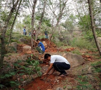 SSSIHL-PSN-Campus-Tree-Planting-17Sep2018-3