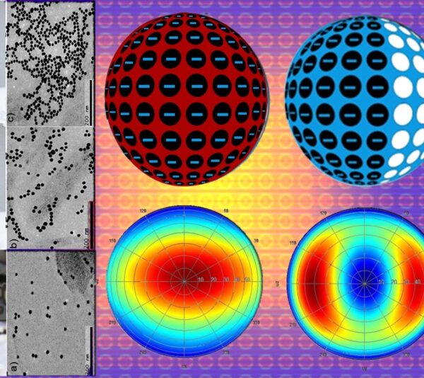 SSSIHL-Research-Spotlight-Plasmonic-Nanomaterials