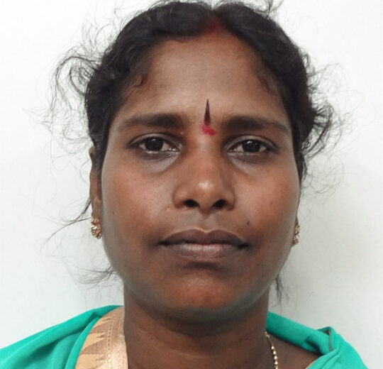 Dr. (Mrs.) N Jayaprada