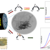 Innovative Nano-Sensor Simplifies Water Quality Checks by Detecting Two Pollutants Simultaneously