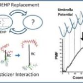 Exploring Safer Alternatives to Toxic Plasticizers in Blood Bags – A Molecular Dynamics Study