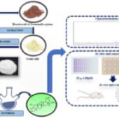 New Natural Compound Shows Promise Against Colon Cancer